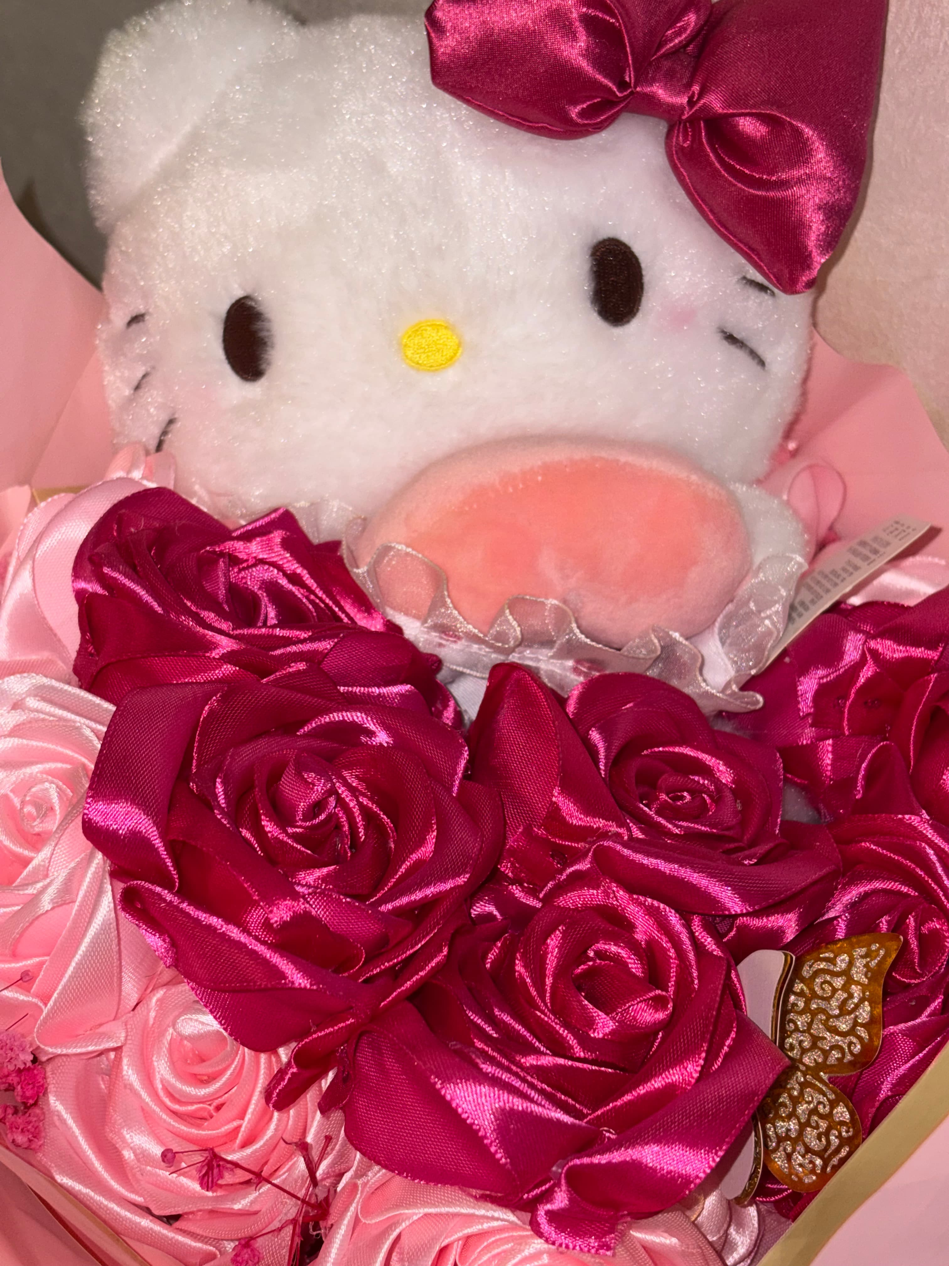 Peluche kitty 😍💕